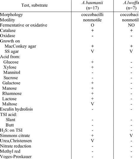 acinetobacter spp biochemical test|The biochemical characteristics of Acinetobacter sp..